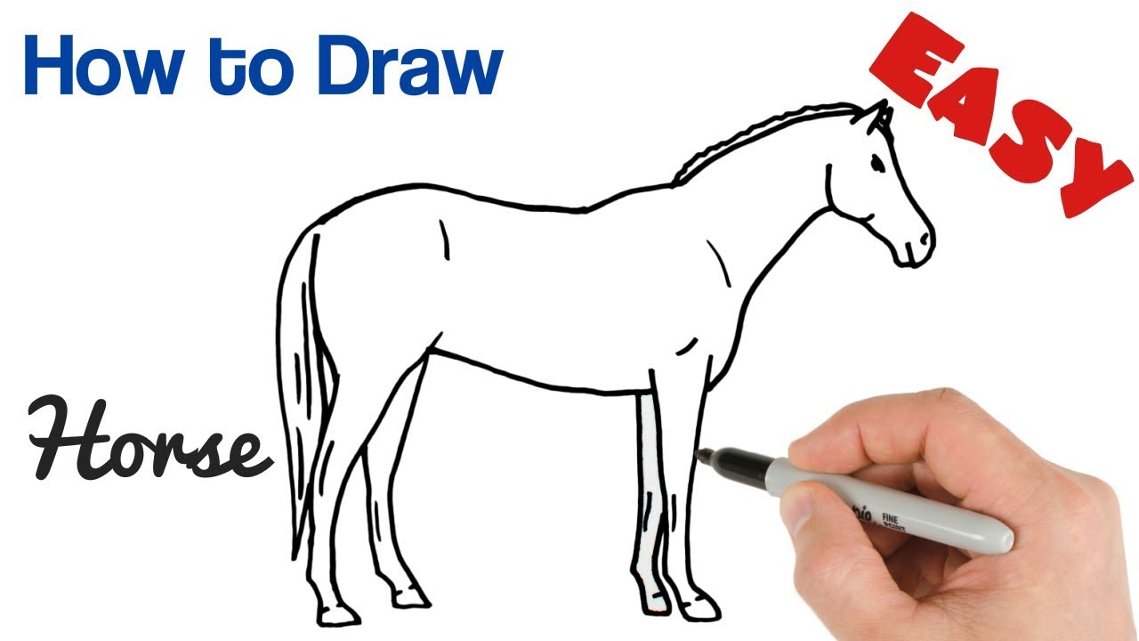 How To Draw A Horse Youtube Easy